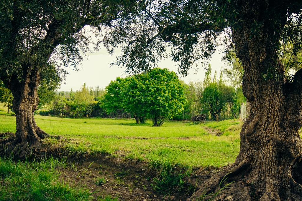 Finca La Encantada San Rafael  Εξωτερικό φωτογραφία